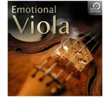 Best Service Emotional Viola
