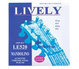 Galli Strings LE520 Mandolin Str. Light