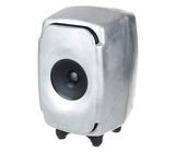 Genelec 8331 RAW