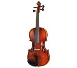 Gewa Allegro Violin Set 4/4 SC CB