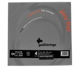 Galli Strings JF45105-XL