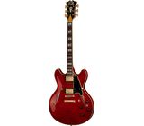 DAngelico Excel DC Trans Cherry