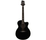 PRS SE A20E BX