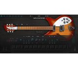 Ample Sound Ample Guitar RB
