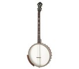 Gold Tone IT-19 Irish Tenor Banjo w/Bag