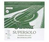 Fisoma F3051M Mandolin E-Str. 1 Pair