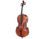 Gewa Allegro VC1 A Cello 4/4 SB