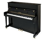 Thomann UP 121 E/P Piano