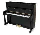 Thomann UP 123 E/P Piano