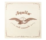 Aquila 140D Wound Nylgut Lute String