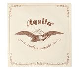 Aquila 160D Wound Nylgut Lute String