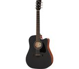 Ibanez AW247CE-WKH