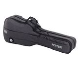 Ritter Bern Double Bass ANT