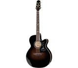 Takamine EF450C-TT TBB w/Softcase