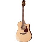 Takamine P5DC w/Softcase