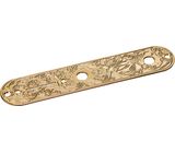 Gotoh CP-10-Art-01 Control Plate G