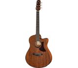 Ibanez AAM54CE-OPN