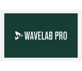 Steinberg Wavelab Pro 12