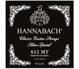 Hannabach 815MT Bass Strings