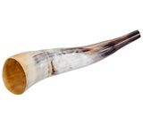 Thomann Cow Horn polished