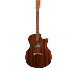 Martin Guitar GPC-10E Roadseries Special