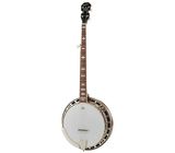 Epiphone Mastertone Classic Banjo