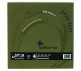 Galli Strings AJF45105 Acoustic Bass 4-Str.