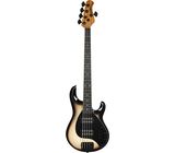 Music Man Stingray 5 HH Special Bruleé