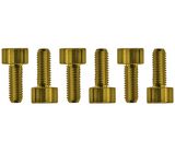 Floyd Rose Saddle Mounting Screws Gold