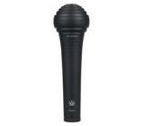 Aston Microphones Apex Void