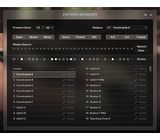 Native Instruments Session Guitarist Picked Acou.