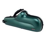 Protec BM304CTHG Alto Sax Micro Zip