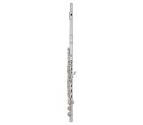 Pearl Flutes Quantz B665RE-HC Flute