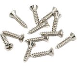 Fender Pickguard-Vintage Mount Screws