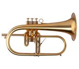 Adams F3 M Custom 050 170 ML
