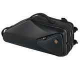 Selmer Signature Case Alto