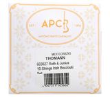 Roth & Junius 10-String Irish Bouzouki Set