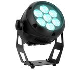 Cameo Root Par IP
