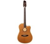 L.R.Baggs AEG 1 E- Acoustic E Natural
