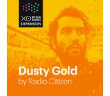 XLN Audio XOpak: Dusty Gold