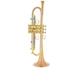 Taylor Trumpets Piranha Bb-Trumpet BF
