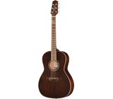 Takamine GY21E SM