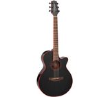 Takamine GF49CE CB