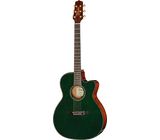 Takamine LTD2025