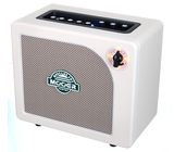 Mooer Hornet 15W LI Modeling Amp WH