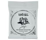 Ernie Ball 3829 Tim Henson Classical