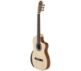 Manuel Rodriguez Ecologia Samba Plano Truss Rod