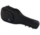 Reunion Blues Exp Small Body Acoustic Case