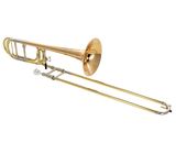 S.E. Shires TBQ30GR Bb/F Tenor Trombone