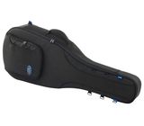 Reunion Blues Exp Dreadnought Guitar Case